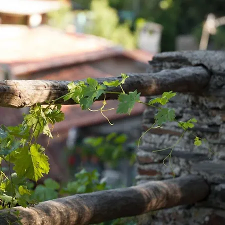 Apartment Cozy In Robledillo De Gata, 45 M² With Garden View