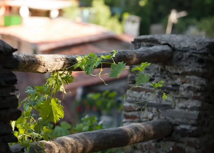 Appartamento Cozy In Robledillo De Gata, 45 M² With Garden View